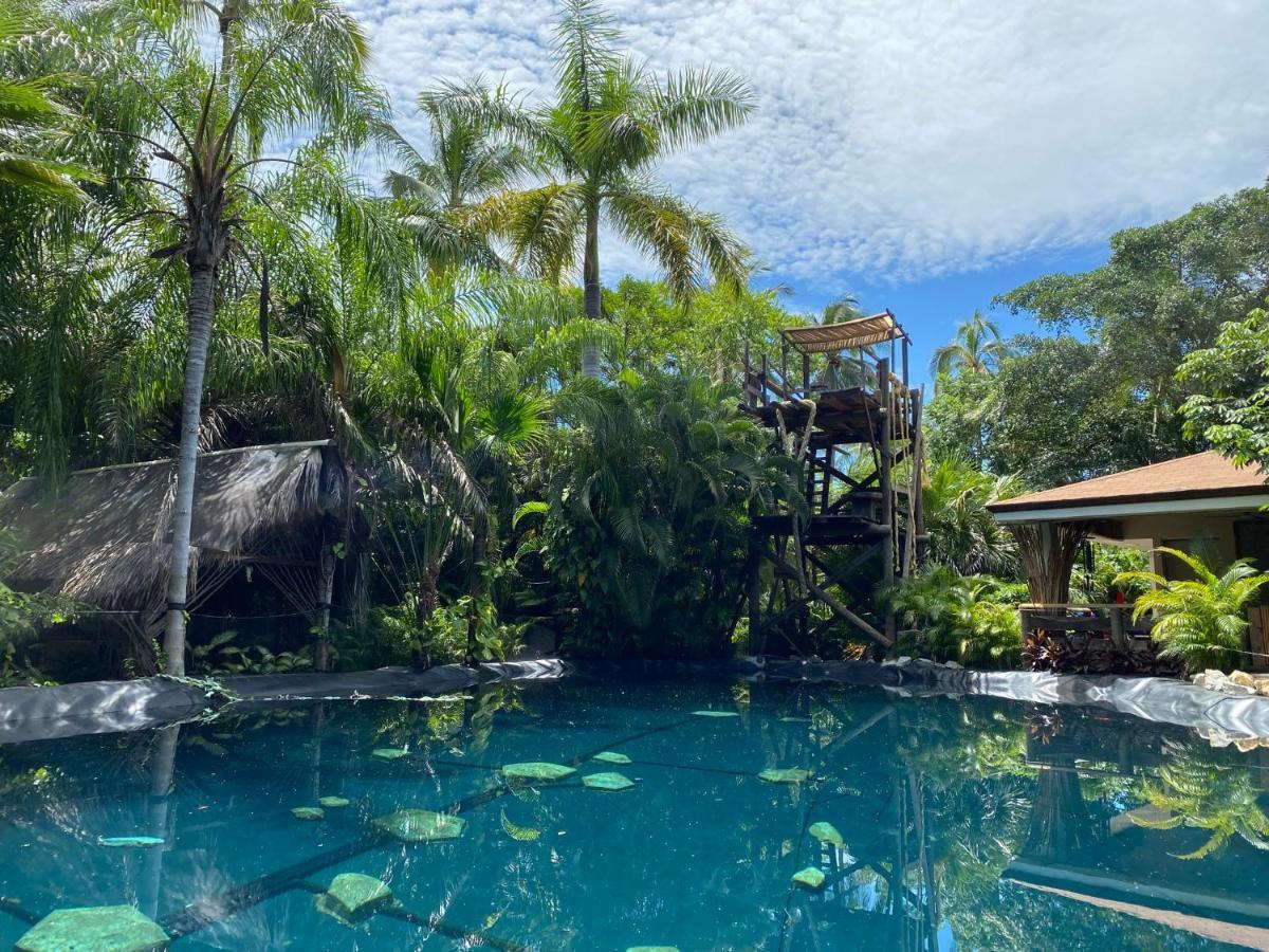Jardin Secreto Centro Holistico Villa Acapulco Exterior foto