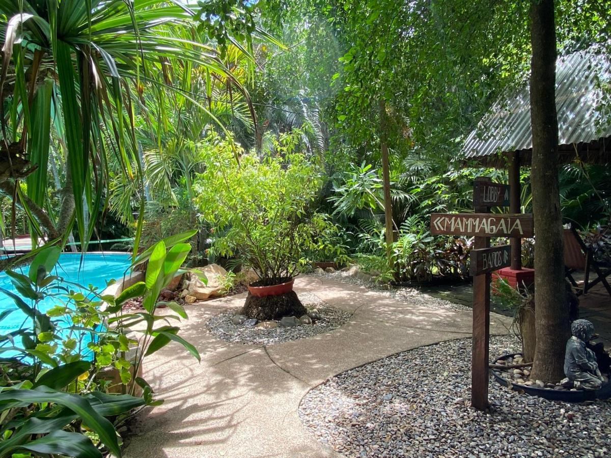 Jardin Secreto Centro Holistico Villa Acapulco Exterior foto