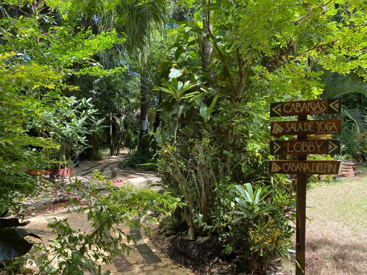 Jardin Secreto Centro Holistico Villa Acapulco Exterior foto