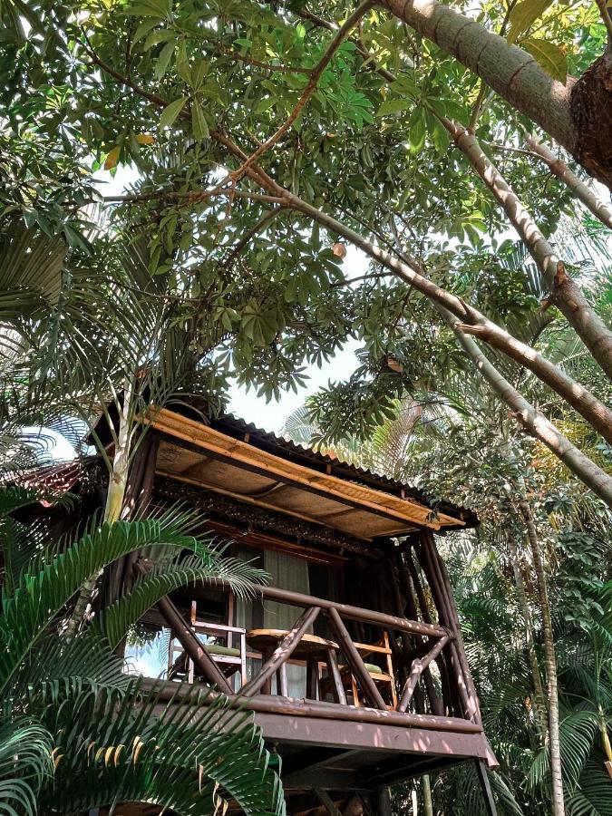 Jardin Secreto Centro Holistico Villa Acapulco Exterior foto