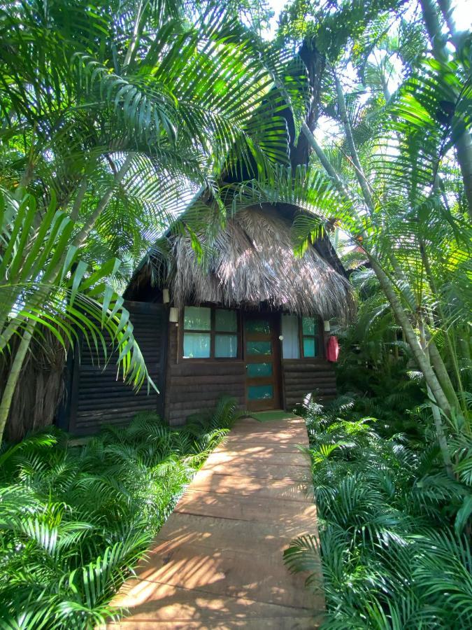 Jardin Secreto Centro Holistico Villa Acapulco Exterior foto